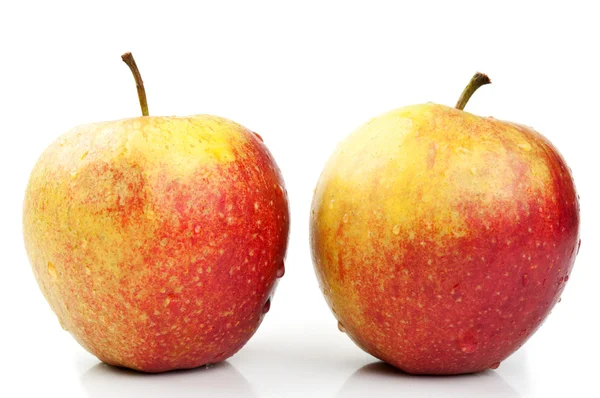 stock image Two fresh apples