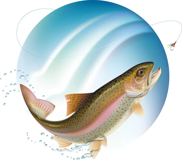 Jumping trout — Stock Vector