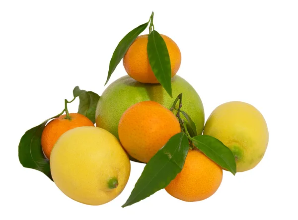 Fresh tangerines, lemons and grapefruit on a white — Stock Photo, Image