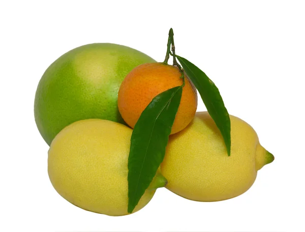 Grapefruit, tangerine and two lemons on a white — Stock Photo, Image