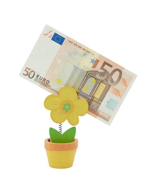 50 euro banknote in a holder in the form of flower pot — Stock Photo, Image