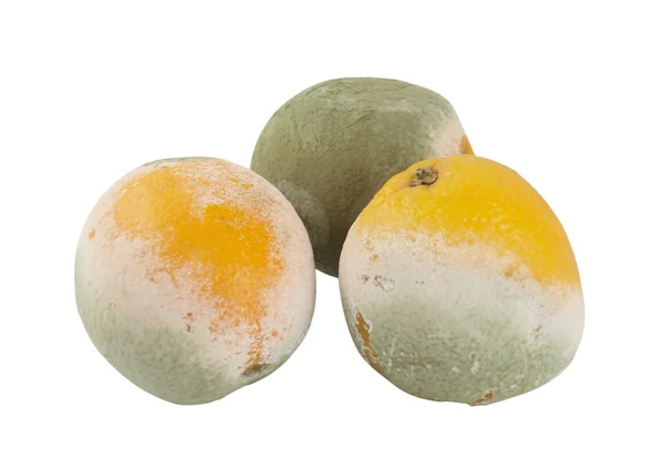 Three mouldy oranges on a white — Stock Photo, Image