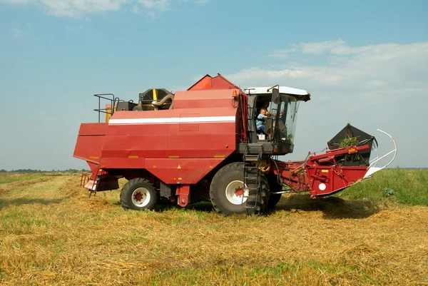 Red grain harvester combine in a field Stock Kép