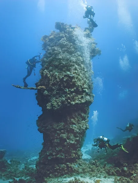 Δύτες σε ένα κοραλλιογενή ύφαλο — Φωτογραφία Αρχείου