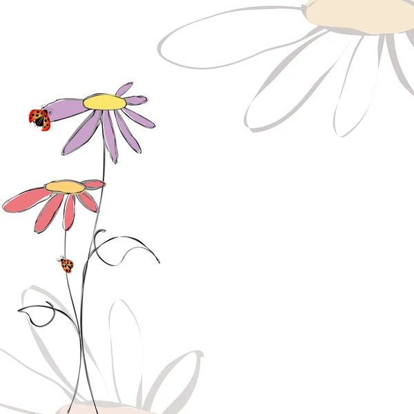 Primavera verano floral con mariquitas sobre fondo blanco — Vector de stock
