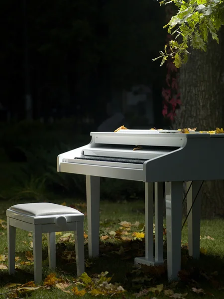 Klavier steht im Gras — Stockfoto