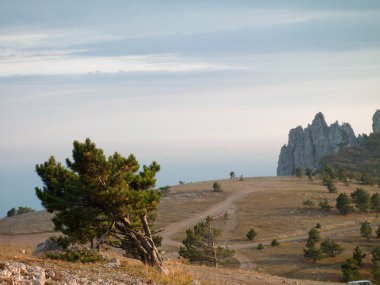 Dağ manzarası