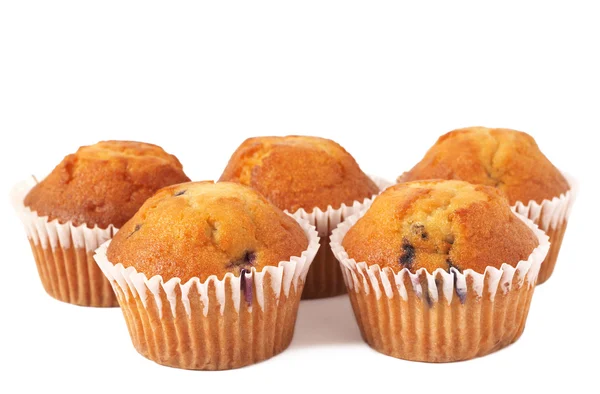 Muffin ai mirtilli su bianco — Foto Stock