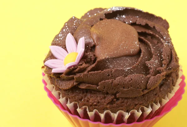 Miniatűr csokoládé cupcake — Stock Fotó