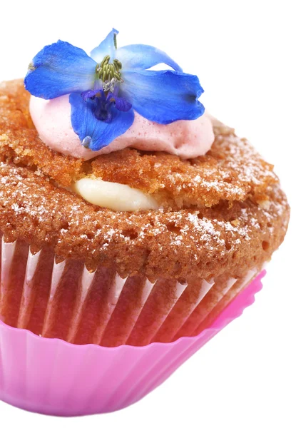Miniature cupcake with meringue — Stock Photo, Image