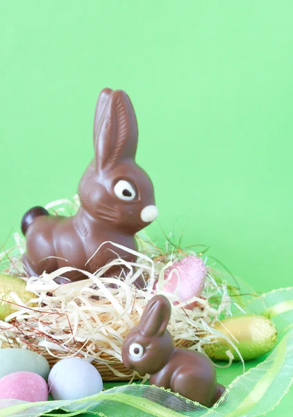 Two chocolate Easter bunnies — Stock Photo, Image
