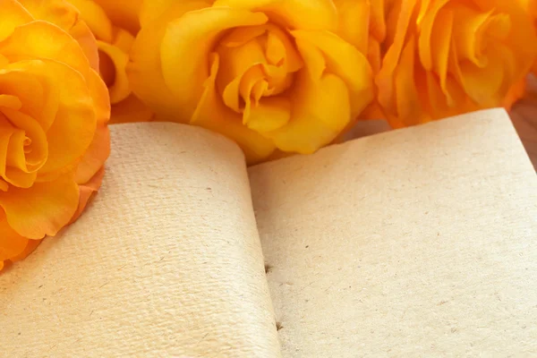 Sárga Rózsa-egy könyv — Stock Fotó