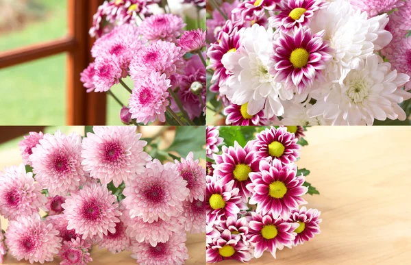 Smukke lyserøde og hvide blomster - Stock-foto