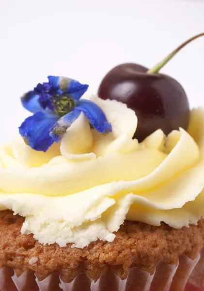 Miniature vanilla cupcake with cherry — Stock Photo, Image