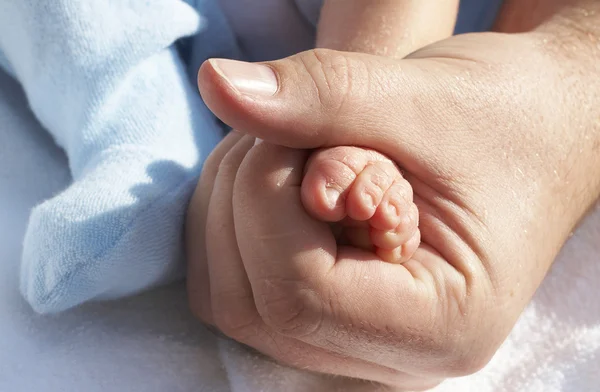 Pies de niños pequeños en la mano de los padres — Foto de Stock