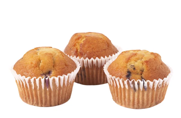 stock image Blueberry muffins on white