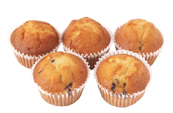 Stock image Blueberry muffins on white