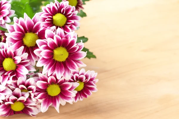 Hermosas flores de color rosa con espacio de copia — Foto de Stock