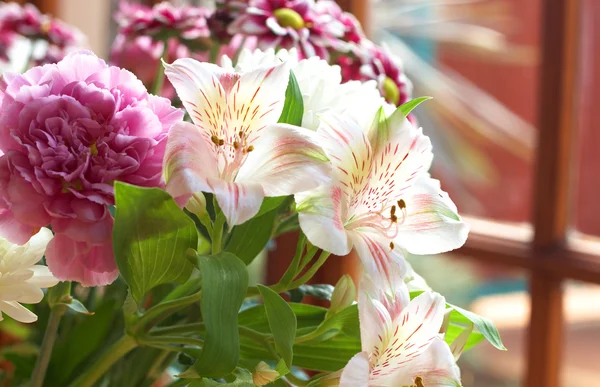 Hermosas flores de color rosa con espacio de copia —  Fotos de Stock
