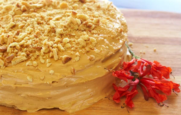 Karamel medovik dort — Stock fotografie