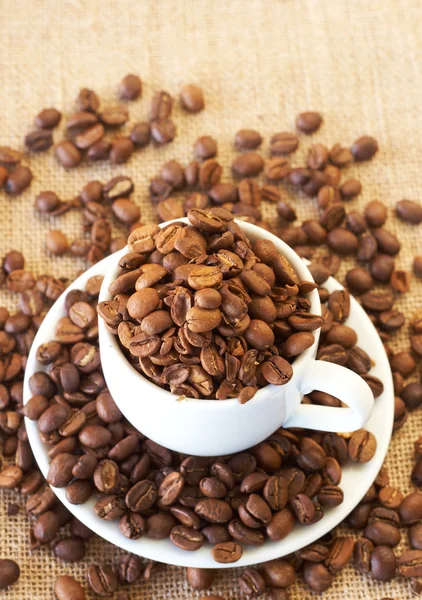 Чашка с кофейными зёрнами — стоковое фото