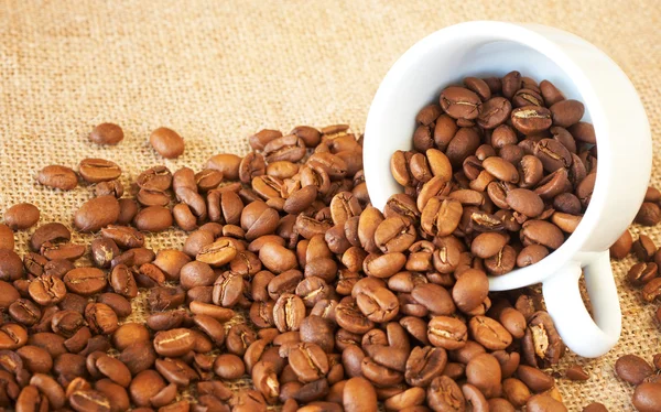 Kopp fylt med kaffebønner – stockfoto