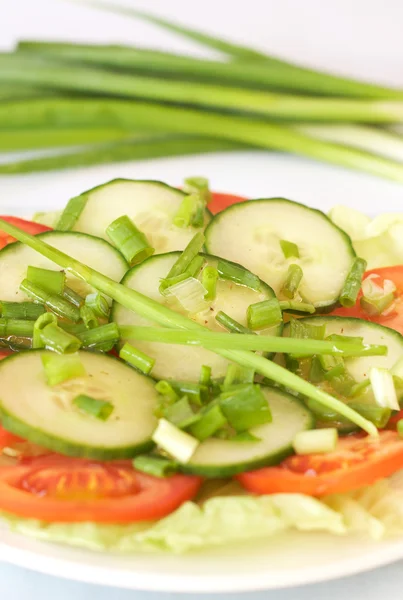 Fresh salad with cucumber and tomato — Stock Photo, Image