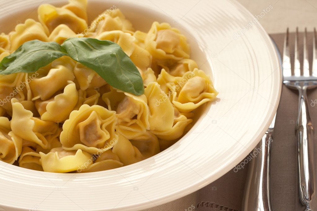 Plate of bolognese tortelloni — Stock Photo © Elenat 5161911