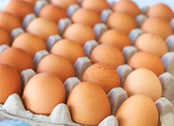 Bricka med ägg — Stockfoto