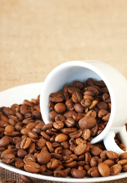 Tasse gefüllt mit Kaffeebohnen — Stockfoto