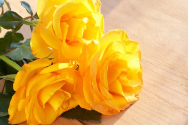 Bunch of yellow roses clipart