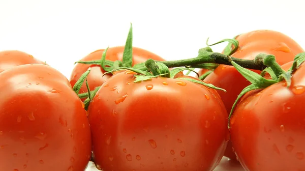 Tomati — Foto Stock