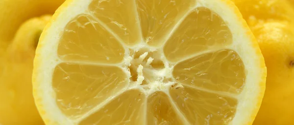 Rodaja de limón — Fotografia de Stock