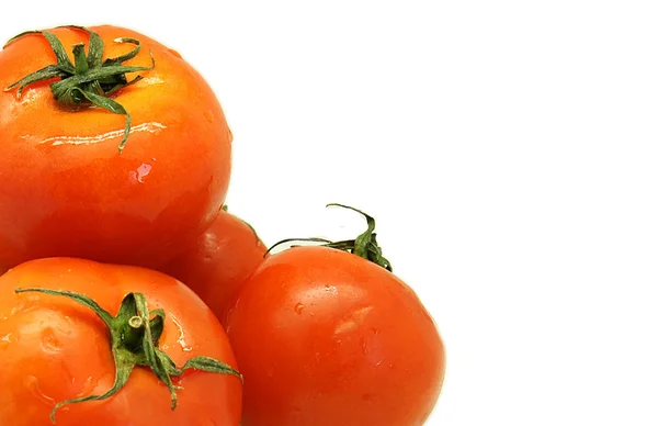 Tomates — Stock Photo, Image