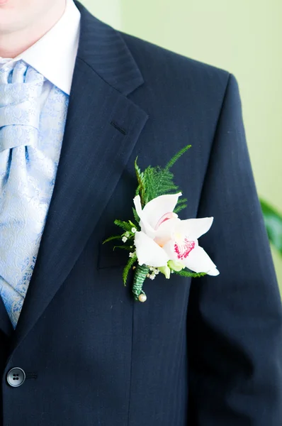 Der Bräutigam mit dem Knopfloch — Stockfoto