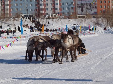 kutlama Kuzey