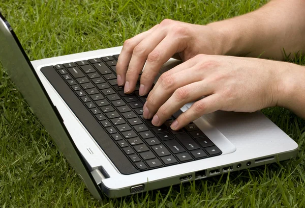 Stock image White male hands typing on a laptop keyboard on a lawn