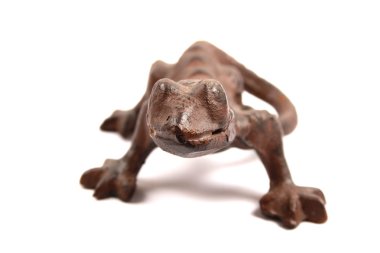 kahverengi gecko