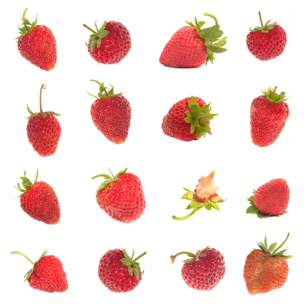 Strawberry; — Stock Photo, Image