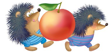 Two hedgehogs clipart