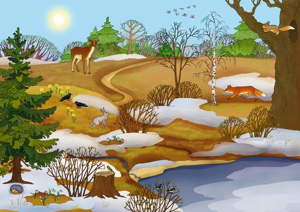 Spring — Stock Image Spring Stock Photo