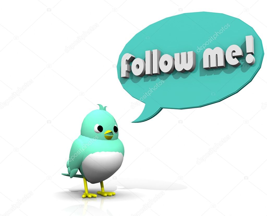 3d bird follow me