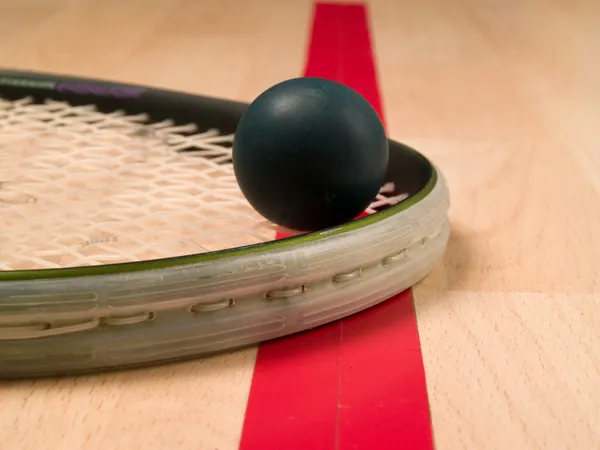 Racchetta e palla da squash Immagine Stock