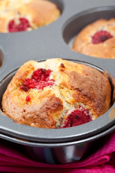 Raspberry muffins — Stock Photo, Image