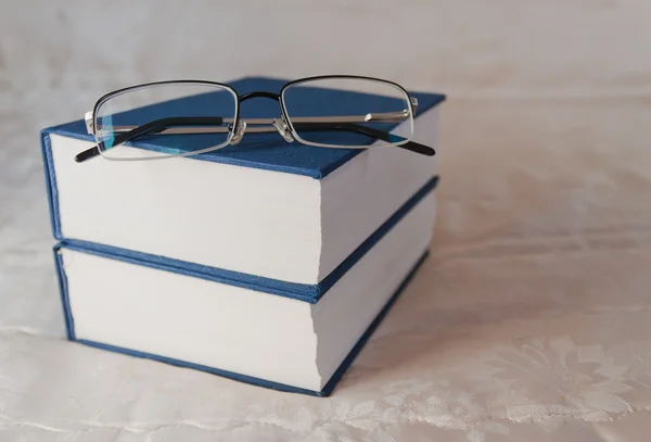 Zwei dunkelblaue Bücher — Stockfoto