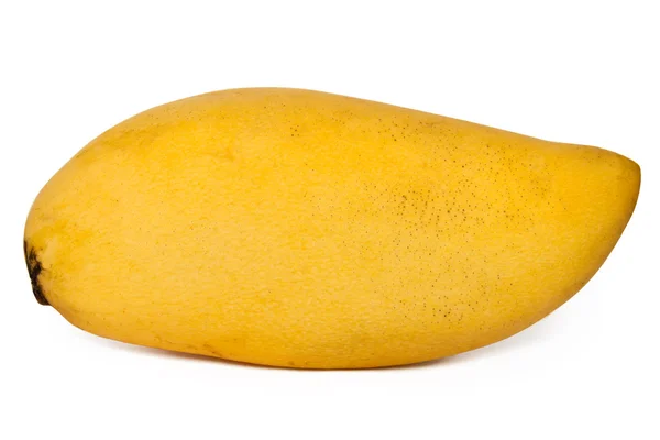 stock image Yellow mango