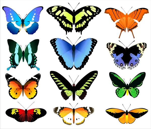 stock image BUTTERFLY SET