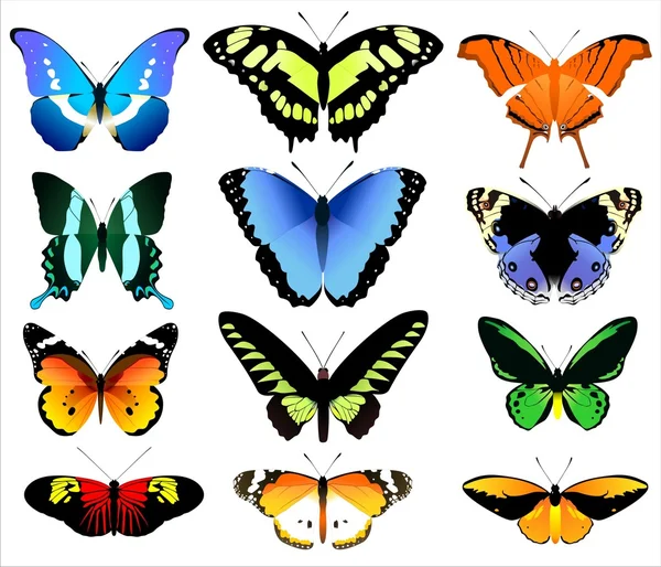 Stock image BUTTERFLY SET