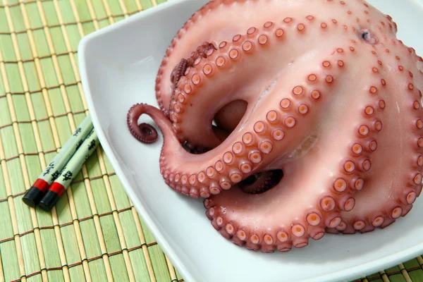 stock image Octopus