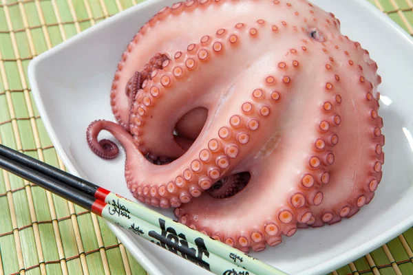 stock image Octopus